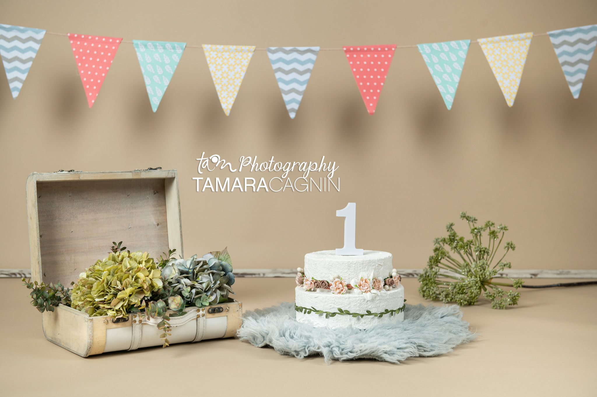 Servizio fotografico Compleanno